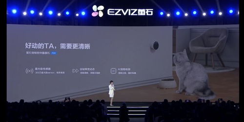 打造有溫度的科技產(chǎn)品 螢石網(wǎng)絡(luò)推出寵物陪伴攝像機(jī)PM2